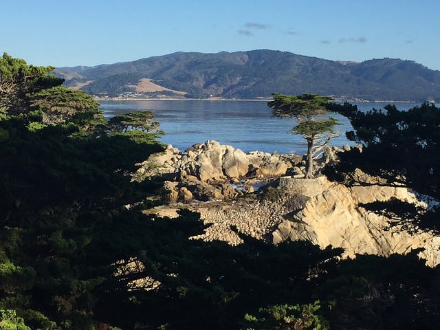 Free download california 17 mile drive coast free picture to be edited with GIMP free online image editor