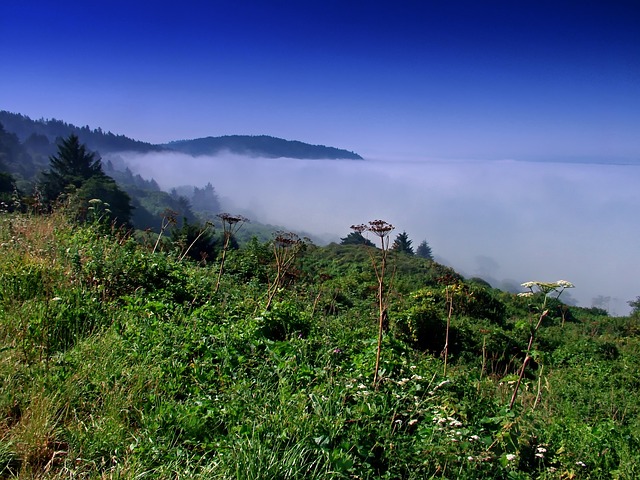Free download california landscape scenic sky free picture to be edited with GIMP free online image editor