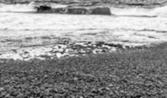 Free download Calma en el gris. free photo or picture to be edited with GIMP online image editor