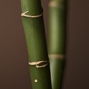 Calming Bamboo  screen for extension Chrome web store in OffiDocs Chromium