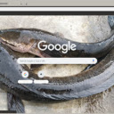 Ca loc  screen for extension Chrome web store in OffiDocs Chromium