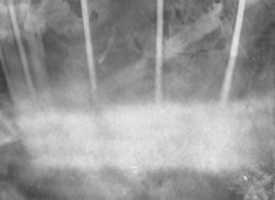 Free download calotype free photo or picture to be edited with GIMP online image editor