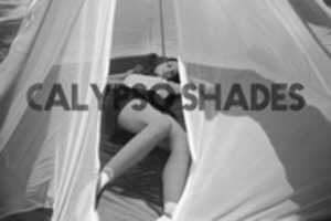 Free download Calypso Shades Banner Biss free photo or picture to be edited with GIMP online image editor