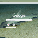 Ca map bua  screen for extension Chrome web store in OffiDocs Chromium