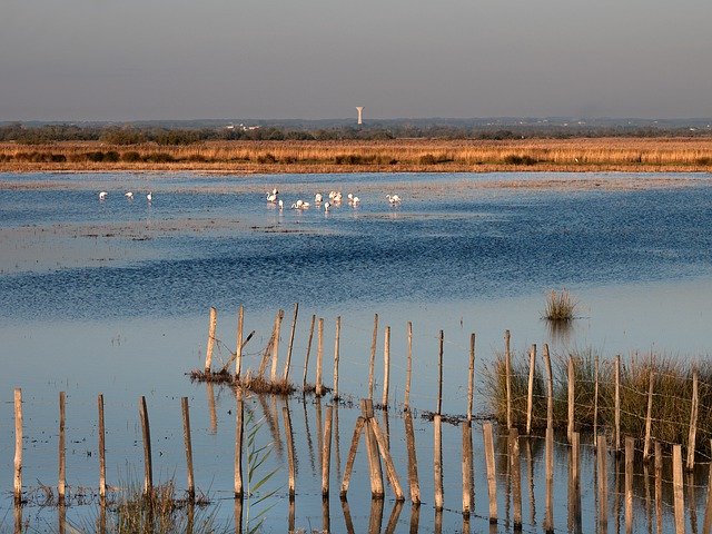 Free download Camargue Sunset Nature -  free free photo or picture to be edited with GIMP online image editor