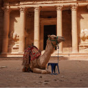 Camel and brocade  screen for extension Chrome web store in OffiDocs Chromium