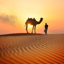 Camel and Sunset  screen for extension Chrome web store in OffiDocs Chromium