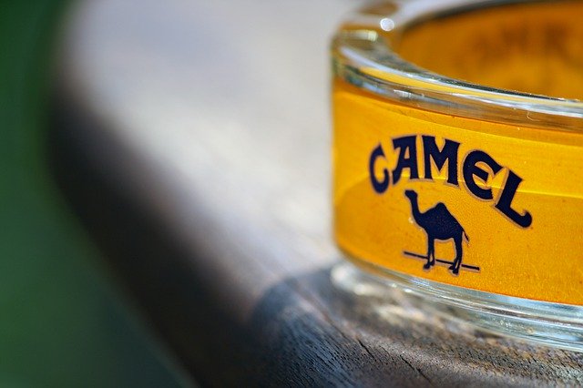 Free download Camel Ashtray Smoking -  free photo or picture to be edited with GIMP online image editor