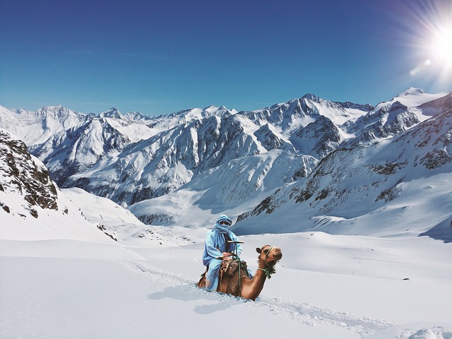 Tải xuống miễn phí Hình minh họa Camel Deep Snow Reiter miễn phí được chỉnh sửa bằng trình chỉnh sửa hình ảnh trực tuyến GIMP