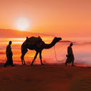 Cameleer  screen for extension Chrome web store in OffiDocs Chromium