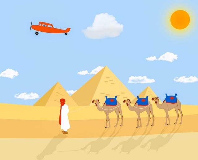 Free download camels airplane caravan desert free picture to be edited with GIMP free online image editor