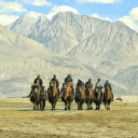 camels and savannas  screen for extension Chrome web store in OffiDocs Chromium