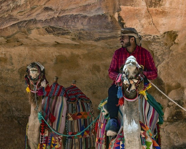 Free download Camels Camelliers Al Siq Canyon -  free photo or picture to be edited with GIMP online image editor