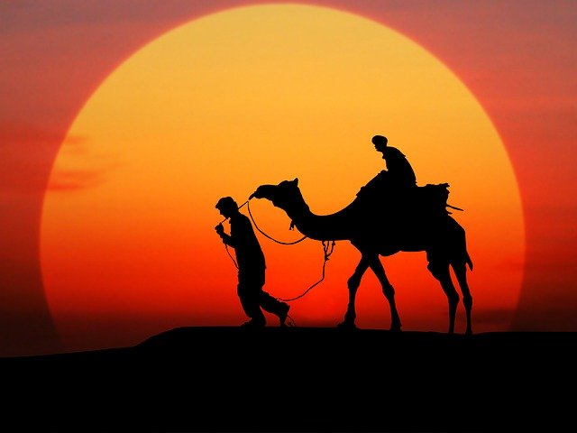 Free download Camel Sunset Silhouette -  free free photo or picture to be edited with GIMP online image editor