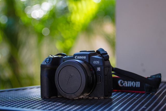 Free download camera canon picture equipment free picture to be edited with GIMP free online image editor