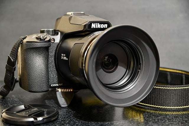 تنزيل مجاني للكاميرا nikon lens الرقمية صورة مجانية لتحريرها باستخدام محرر الصور المجاني على الإنترنت GIMP