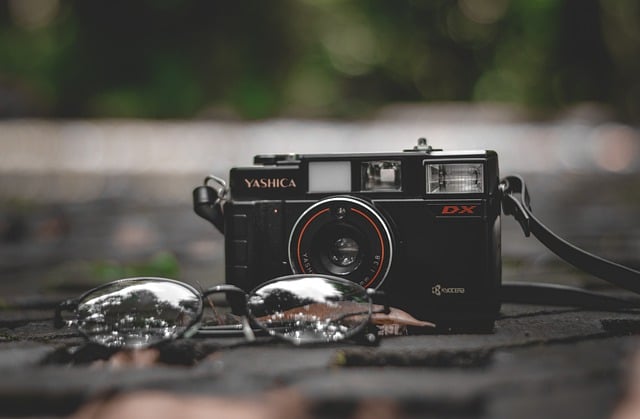 Free download camera photo glasses photography free picture to be edited with GIMP free online image editor