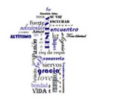 Free download camisa4 free photo or picture to be edited with GIMP online image editor