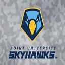 Camo Skyhawks 2019  screen for extension Chrome web store in OffiDocs Chromium