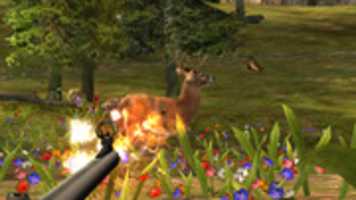 Free download Camostorm free photo or picture to be edited with GIMP online image editor