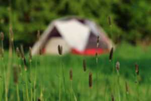 Free download Camping Tent Grass free photo or picture to be edited with GIMP online image editor