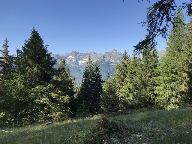 Скачать бесплатно Campo Tencia Alpine Route Alps - бесплатное фото или изображение для редактирования с помощью онлайн-редактора изображений GIMP