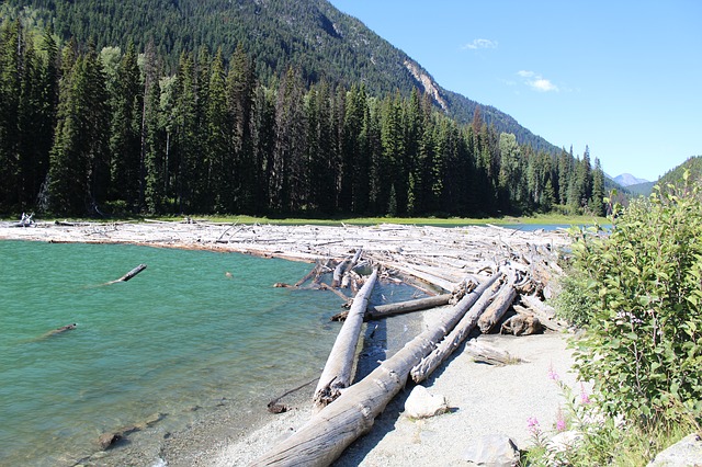Free download canada bc lake free picture to be edited with GIMP free online image editor
