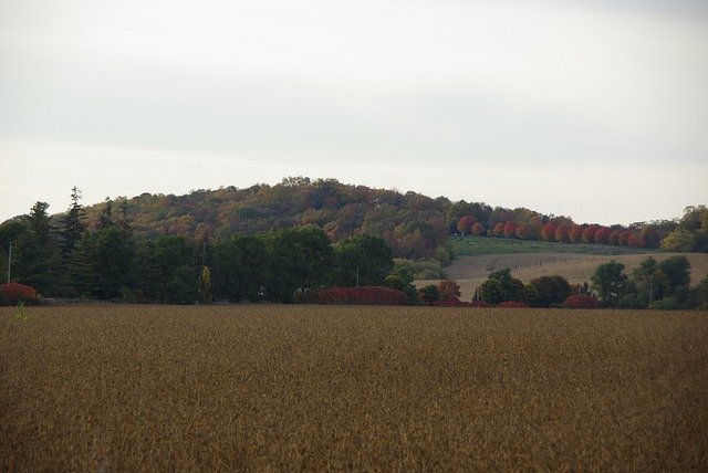 Téléchargement gratuit Canada Fall Colorful - photo ou image gratuite à éditer avec l'éditeur d'images en ligne GIMP