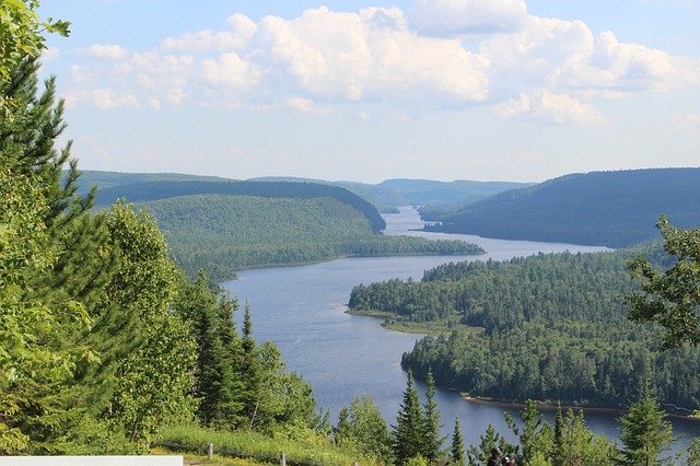 Free download Canada Forest Quebec -  free photo or picture to be edited with GIMP online image editor