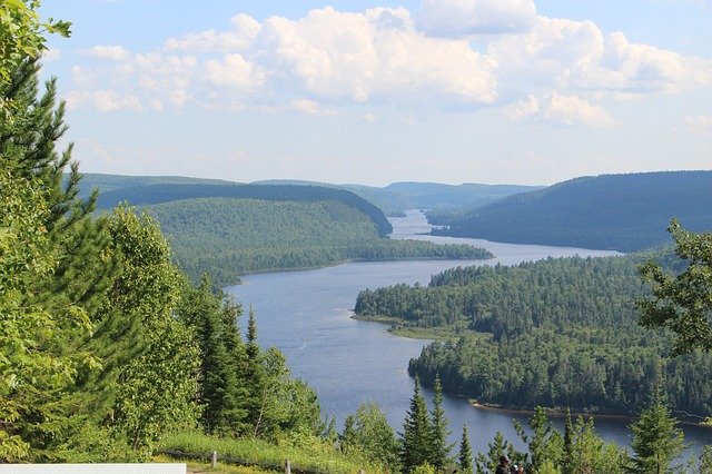 Download gratuito di Canada Forest Quebec: foto o immagini gratuite da modificare con l'editor di immagini online GIMP