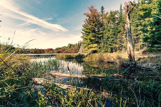 Free download Canada Indian Summer Ontario -  free photo or picture to be edited with GIMP online image editor