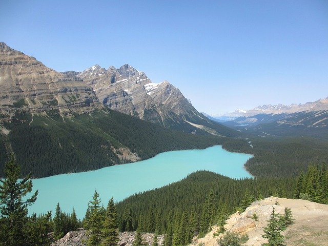 Template Photo Canada Peyto Lake Water -  for OffiDocs