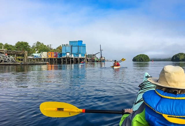 Tải xuống miễn phí Canada Vancouver Island Nature - ảnh hoặc hình ảnh miễn phí được chỉnh sửa bằng trình chỉnh sửa hình ảnh trực tuyến GIMP