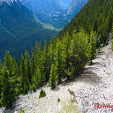 Canadian Rockies  screen for extension Chrome web store in OffiDocs Chromium