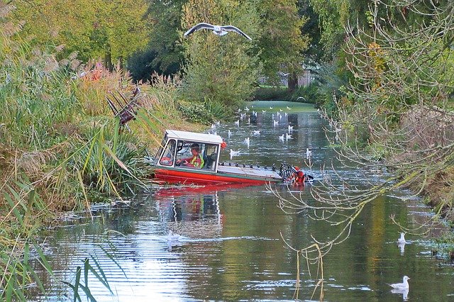 ดาวน์โหลดฟรี Canal Water Cleaning - ภาพถ่ายหรือรูปภาพฟรีที่จะแก้ไขด้วยโปรแกรมแก้ไขรูปภาพออนไลน์ GIMP