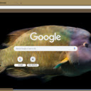 Ca napoleon  screen for extension Chrome web store in OffiDocs Chromium
