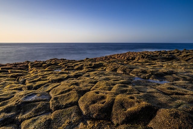 Free download canary islands landscape tenerife free picture to be edited with GIMP free online image editor