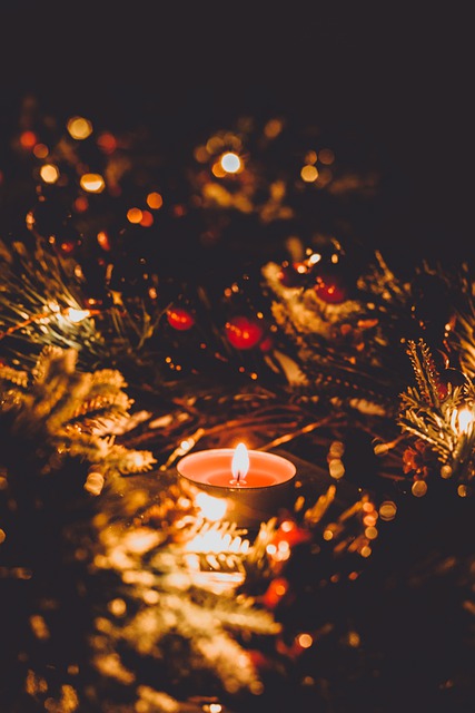 Free download candle pine christmas tree holidays free picture to be edited with GIMP free online image editor