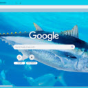 Ca Ngu  screen for extension Chrome web store in OffiDocs Chromium