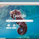 Ca Ngua  screen for extension Chrome web store in OffiDocs Chromium