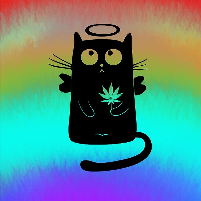 Free download Cannabis Rainbow Cat -  free illustration to be edited with GIMP free online image editor