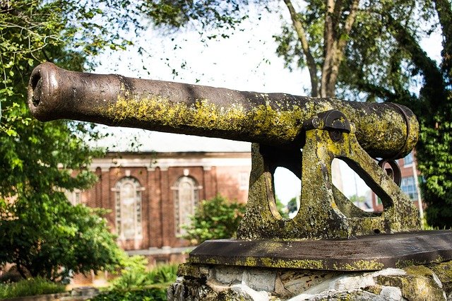 Free download cannon moss history free picture to be edited with GIMP free online image editor