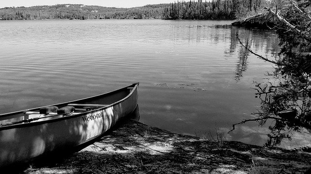 Free download Canoe Lake Trees -  free photo or picture to be edited with GIMP online image editor