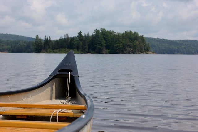 Free download canoe trip trees algonquin free picture to be edited with GIMP free online image editor