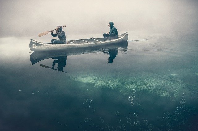 Безкоштовно завантажте Canoe Young Crocodile — безкоштовну фотографію чи зображення для редагування за допомогою онлайн-редактора зображень GIMP