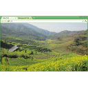 Canola Flower  screen for extension Chrome web store in OffiDocs Chromium
