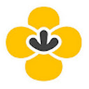 Canola toolkit  screen for extension Chrome web store in OffiDocs Chromium