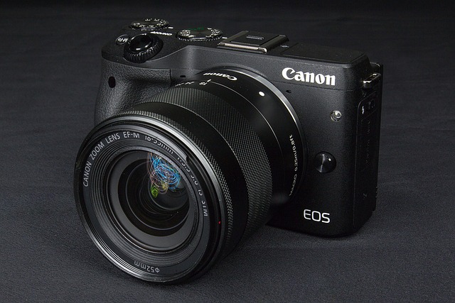 Scarica gratuitamente una singola immagine gratuita della fotocamera Canon Micro da modificare con l'editor di immagini online gratuito GIMP