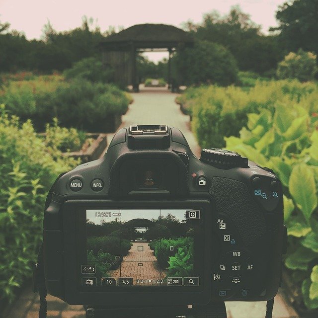Free download canon rebel t4i dslr garden path free picture to be edited with GIMP free online image editor