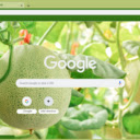 Cantaloupe Tree  screen for extension Chrome web store in OffiDocs Chromium